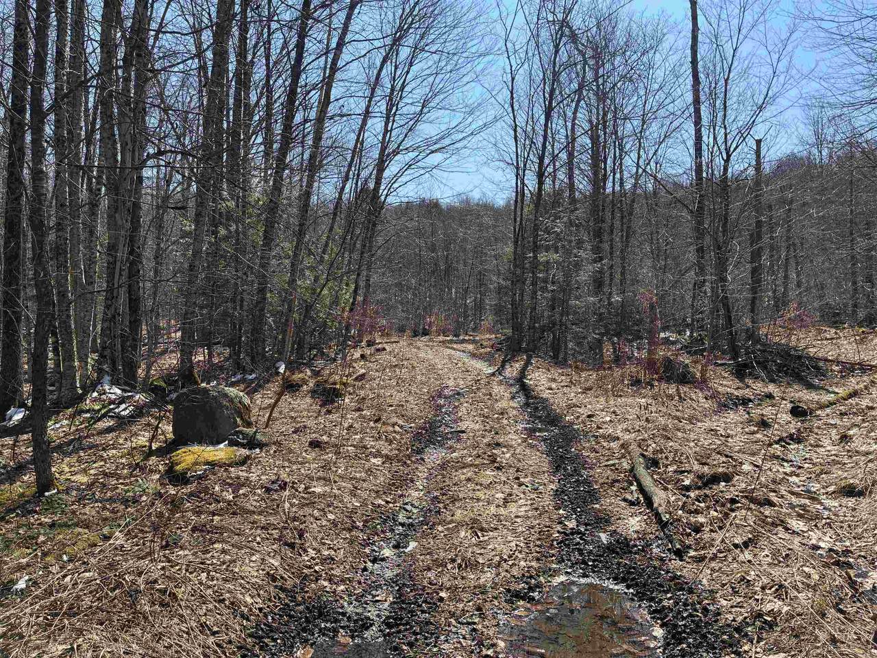 Lot 1 Marshall Road - Photo 1