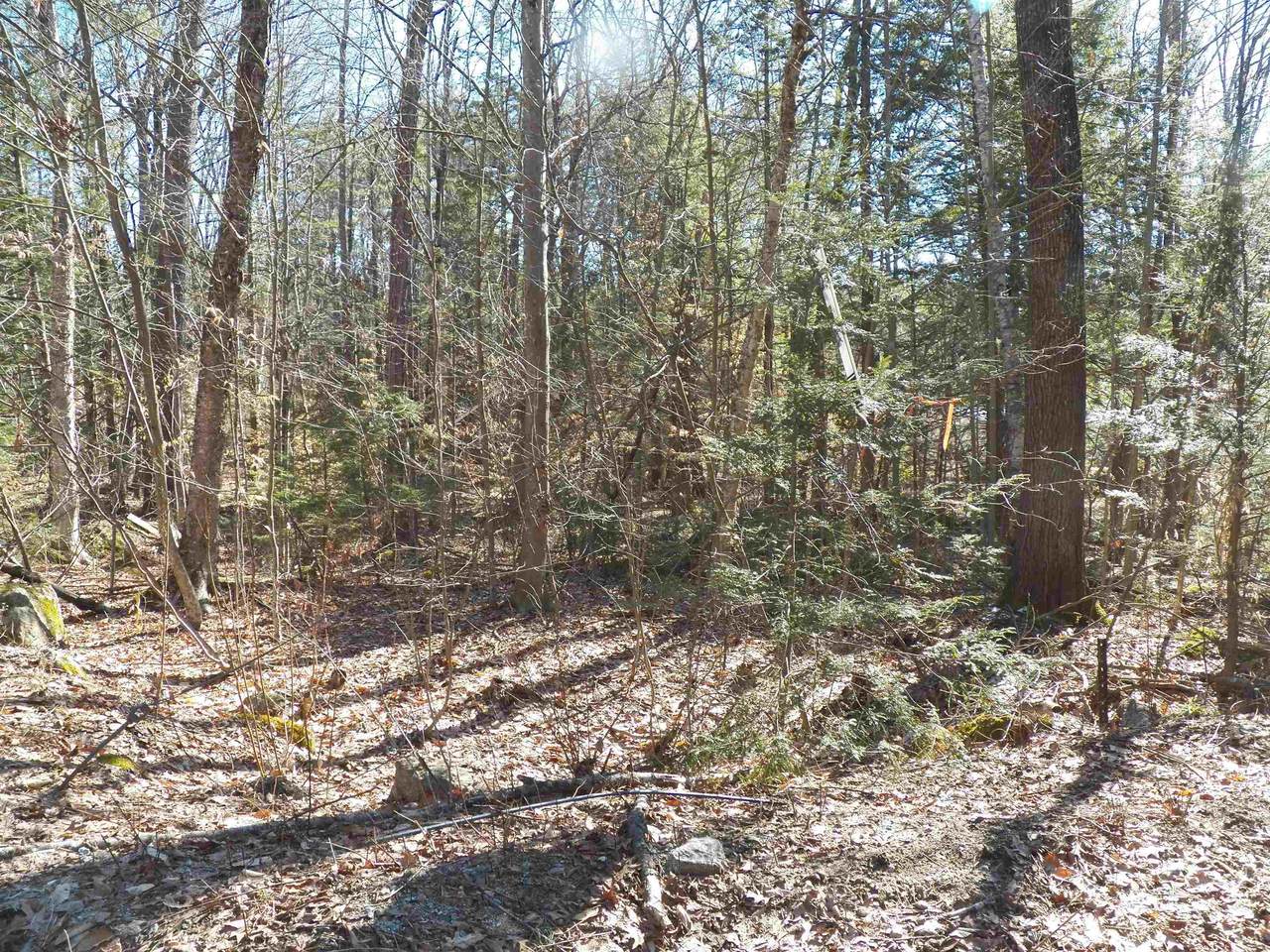 14-194 Seminole Road - Photo 1