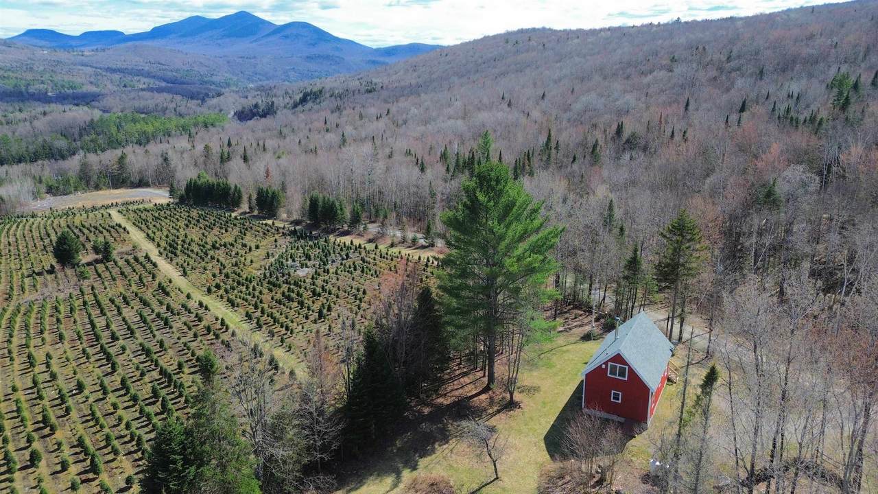 374 Crank Road - Photo 1