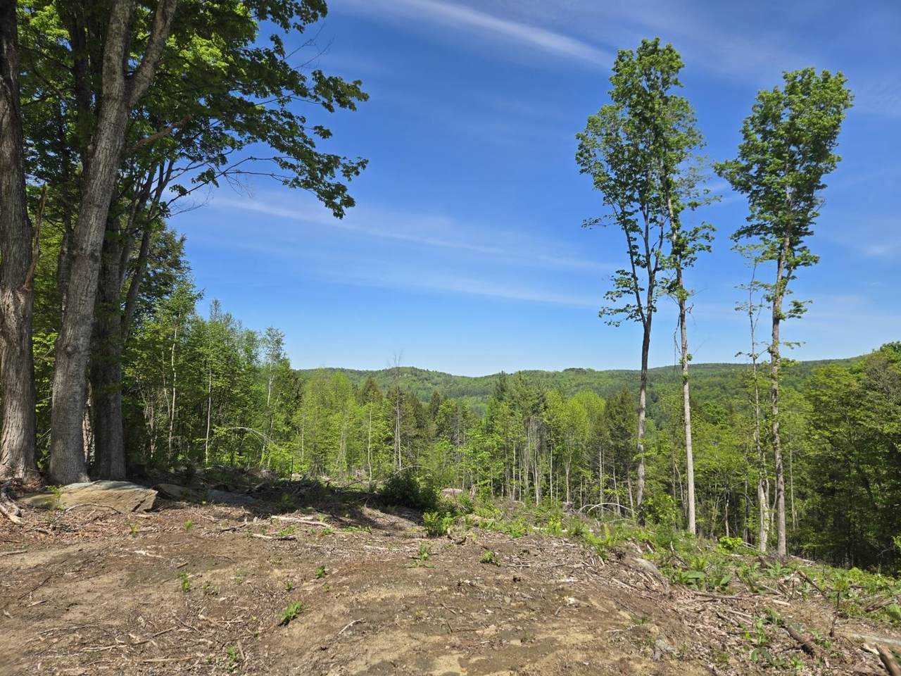 00 Vt Rte 12 - Photo 1