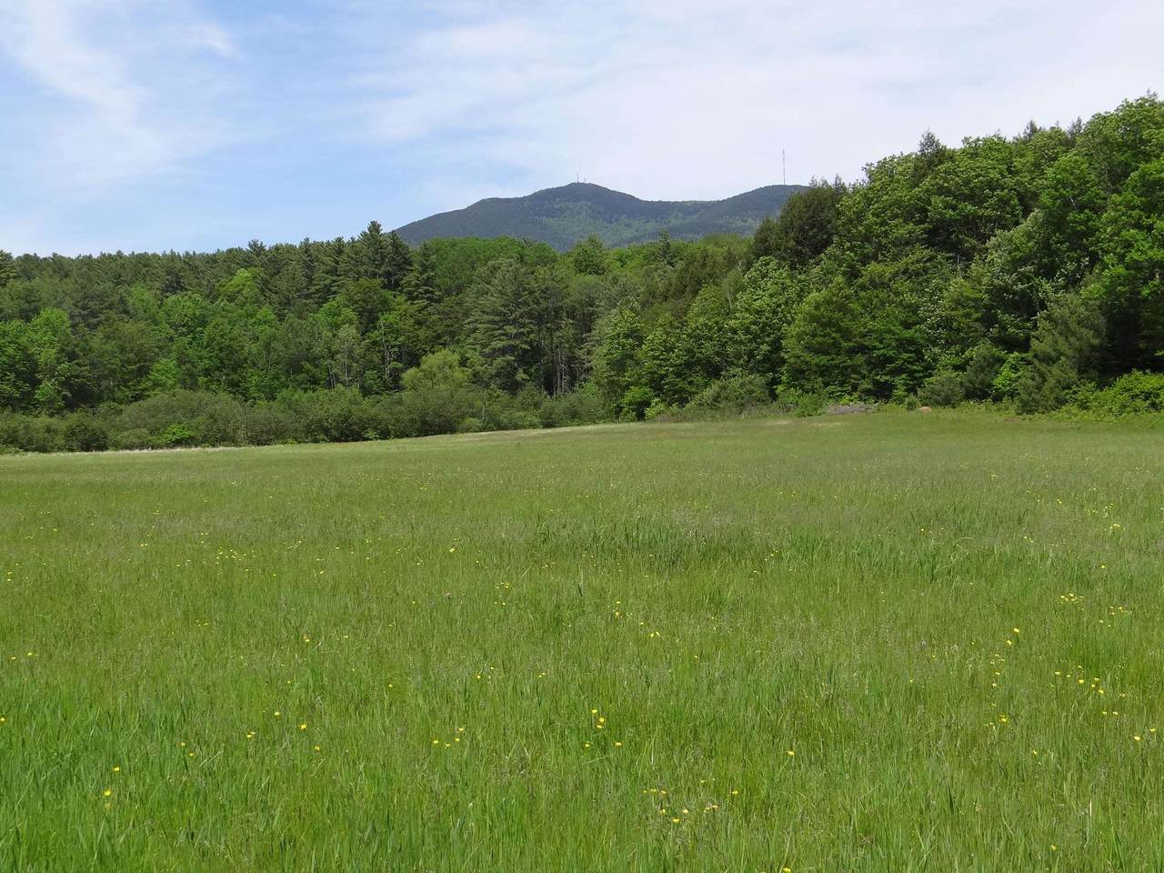 0 Vt Rt 131 - Photo 1
