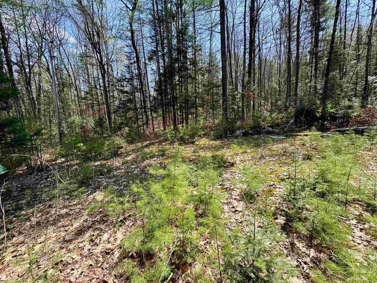 3826 Leighton Hill Road - Photo 1