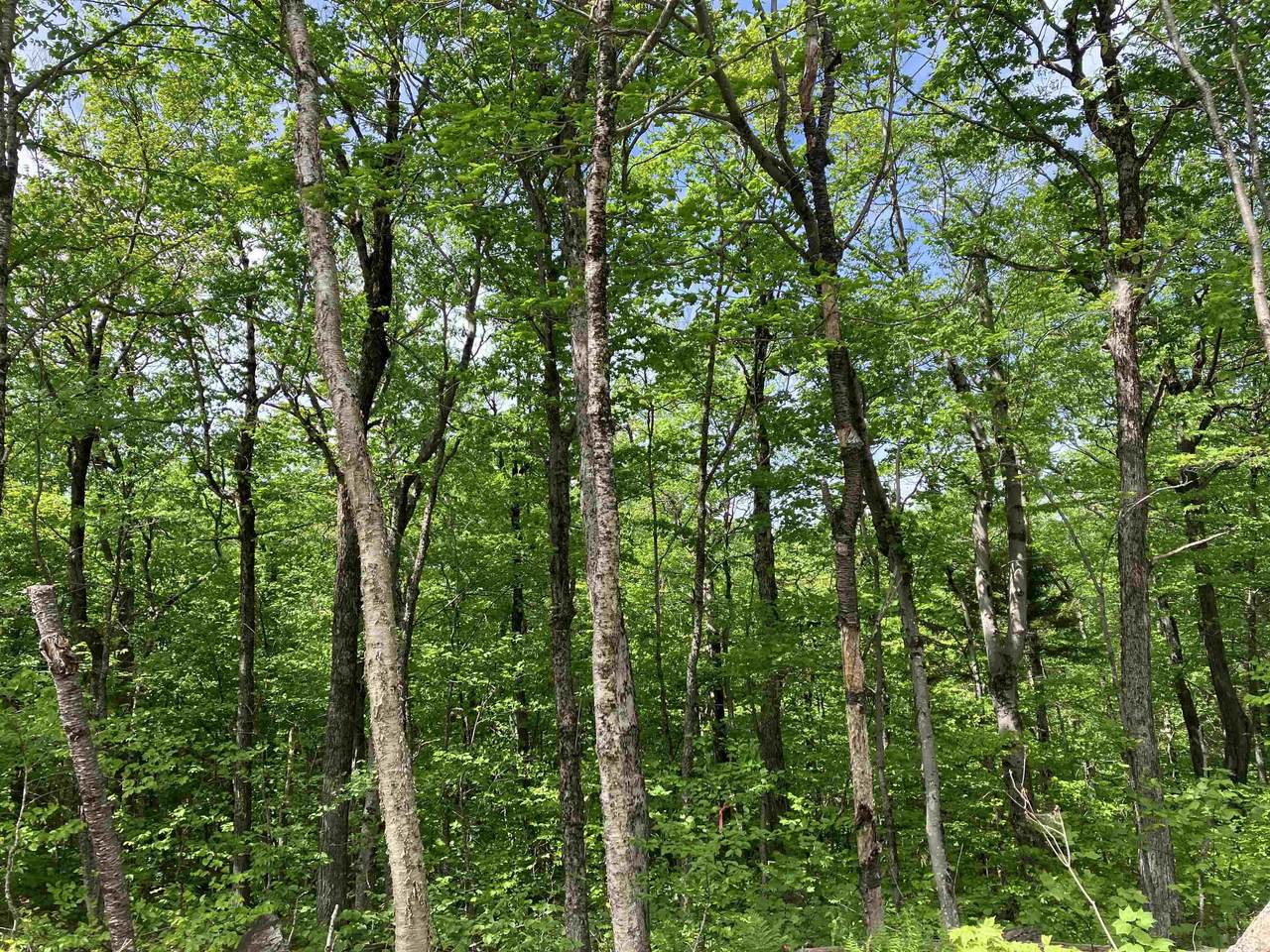 404 Fox Mt Road - Photo 1