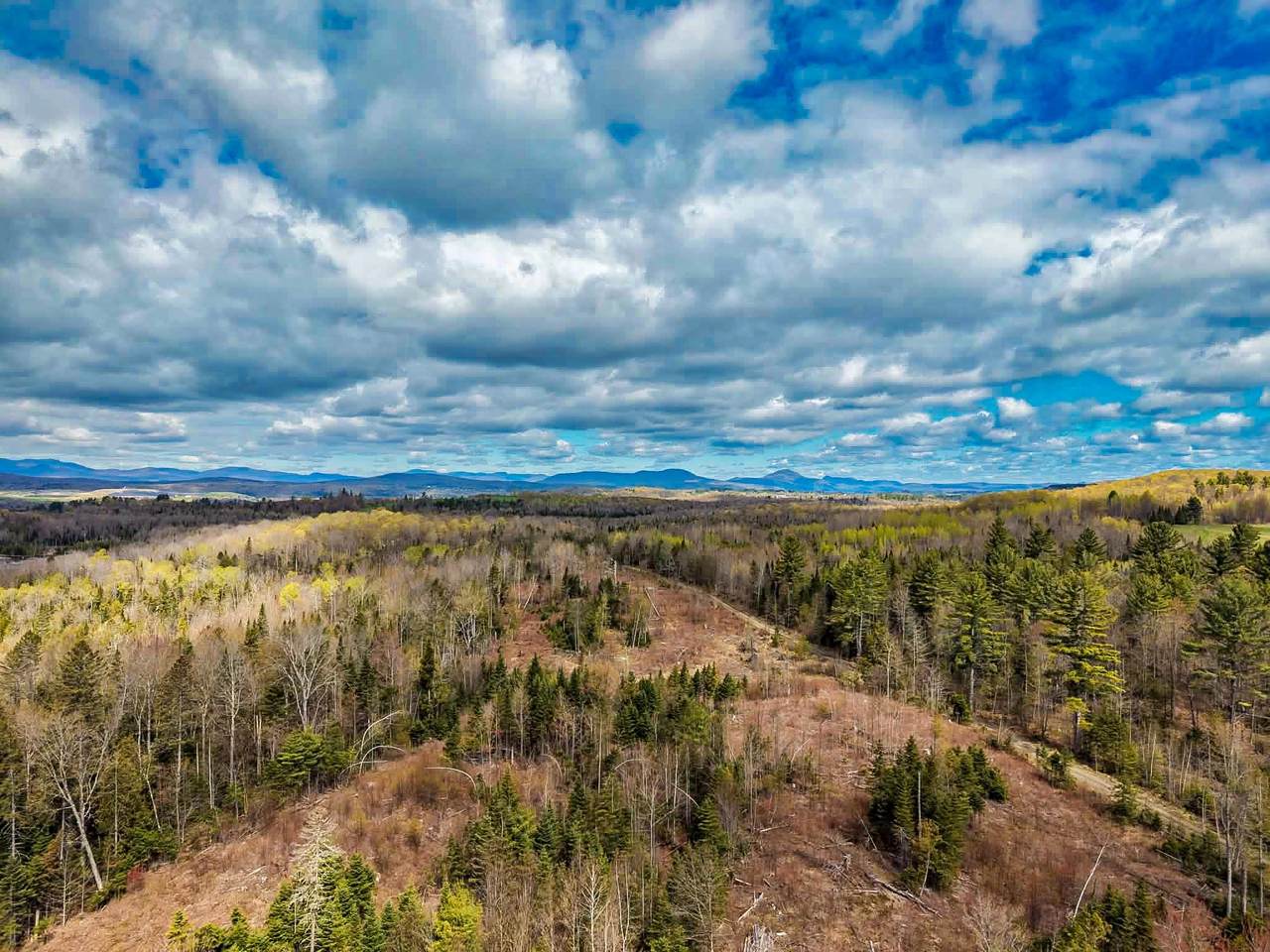 4334 Hinman Settler Road - Photo 1