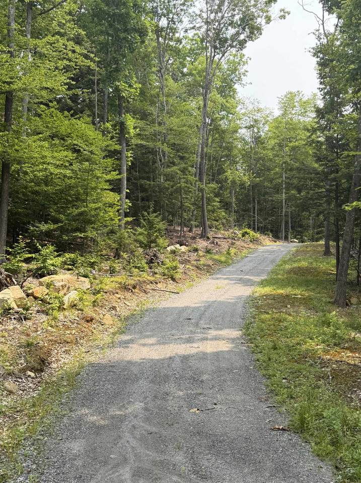 165 Allens Mill Road - Photo 1