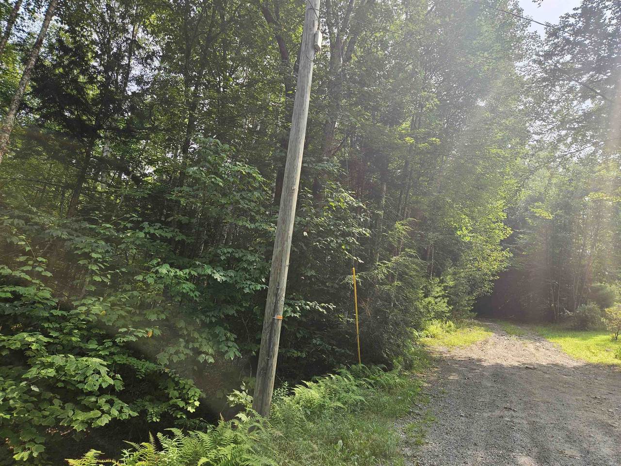Lot 265 King Drive - Photo 1