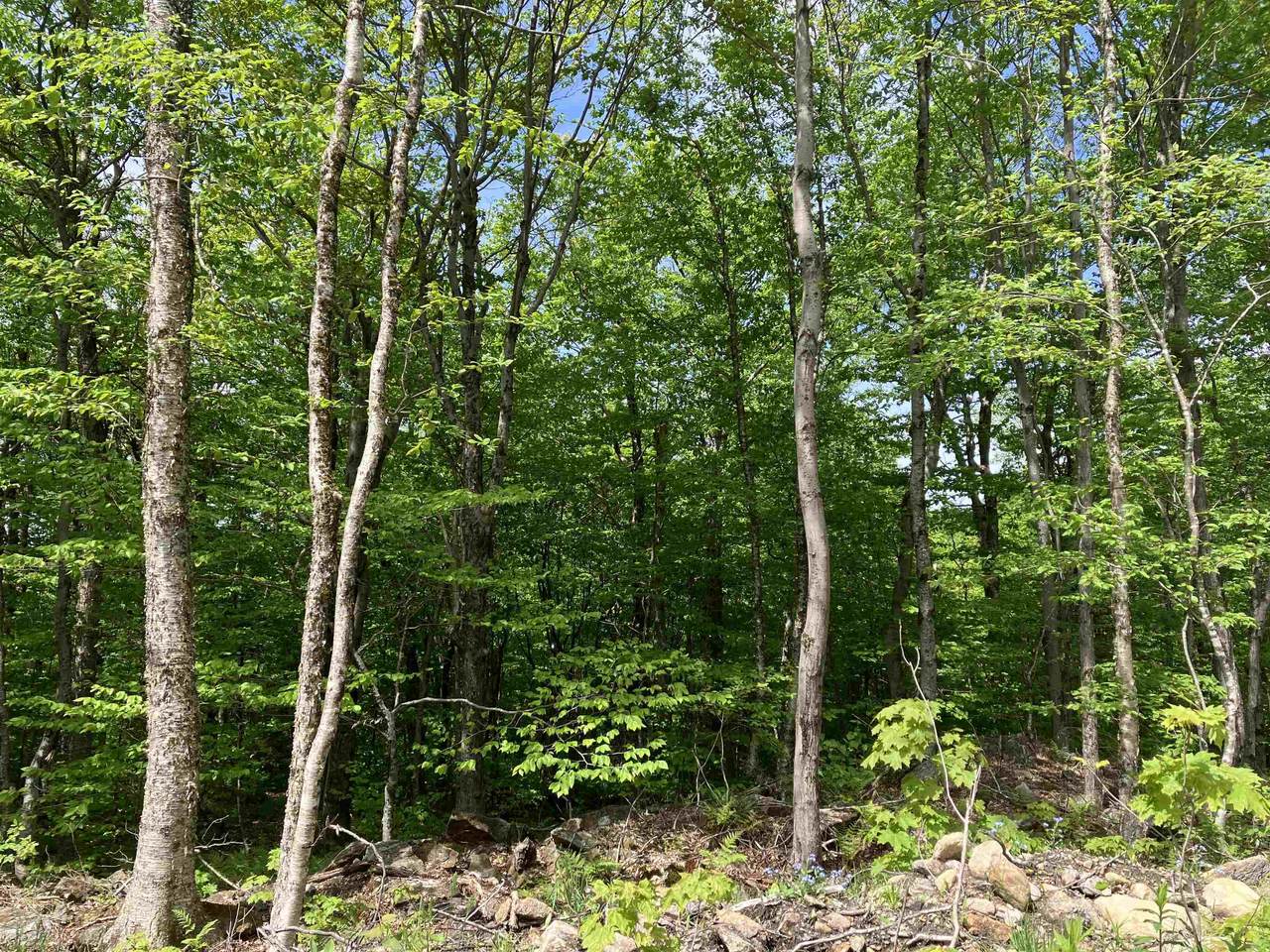 402 Fox Mt. Road - Photo 1