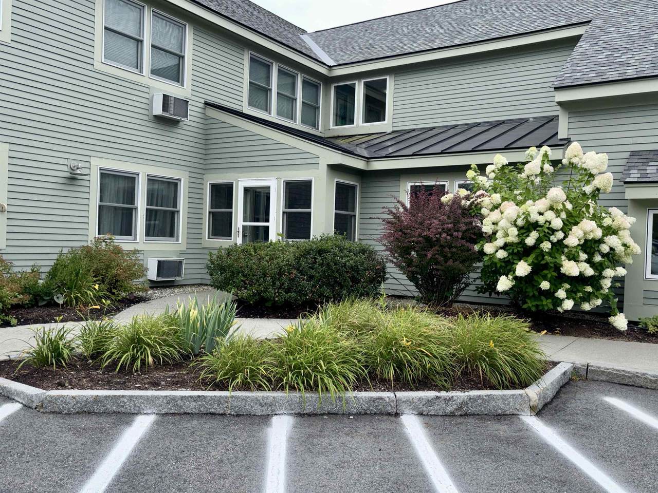 53 Lyme Road - Photo 1