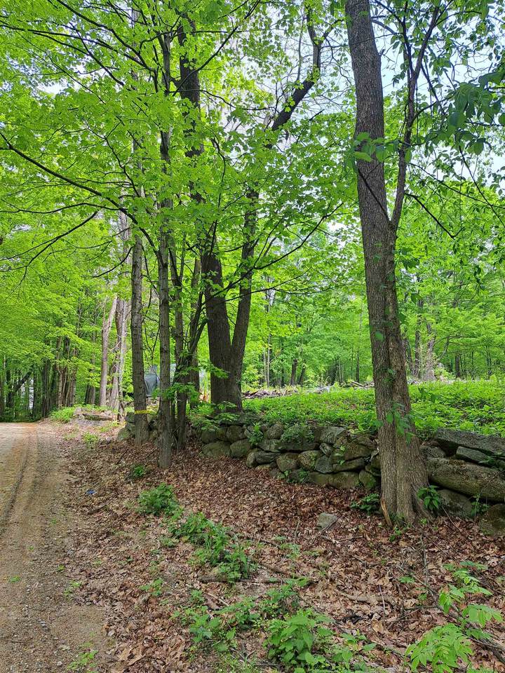 81 Hart Farm Road - Photo 1
