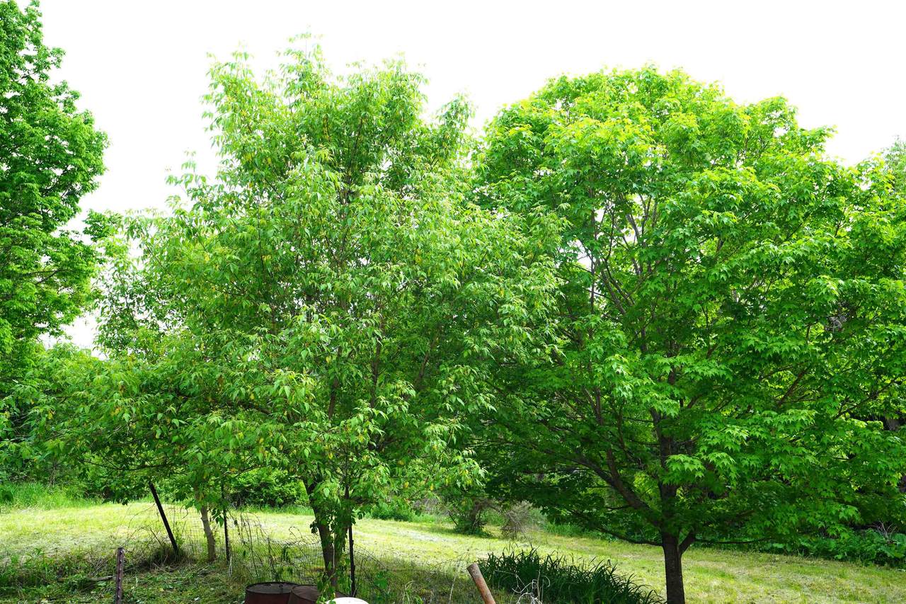 https://bt-photos.global.ssl.fastly.net/nneren/1280_boomver_2_5093405-2.jpg