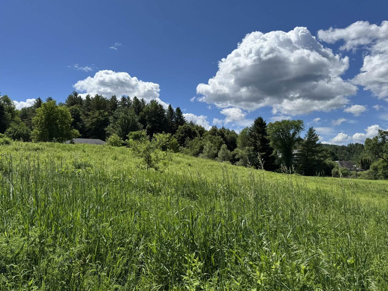 0 Old Farm Road - Photo 1