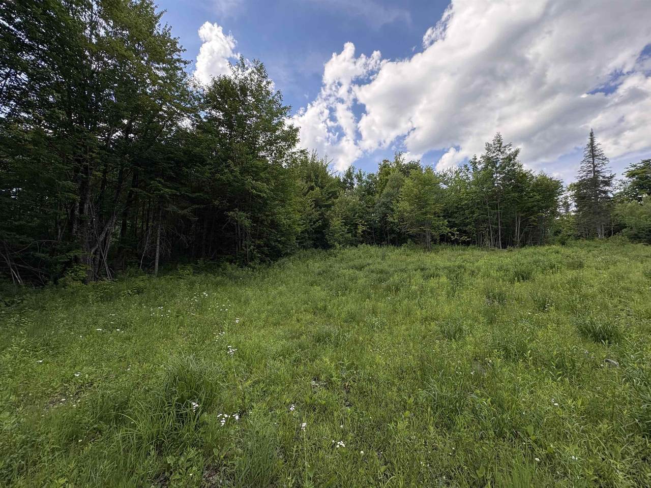 208 Drake Place Road - Photo 1