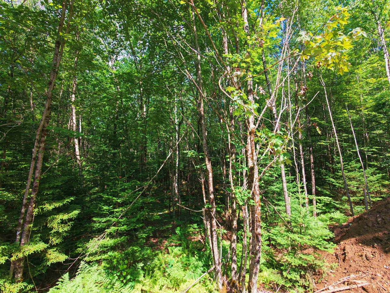 -- Oregon Road - Photo 1