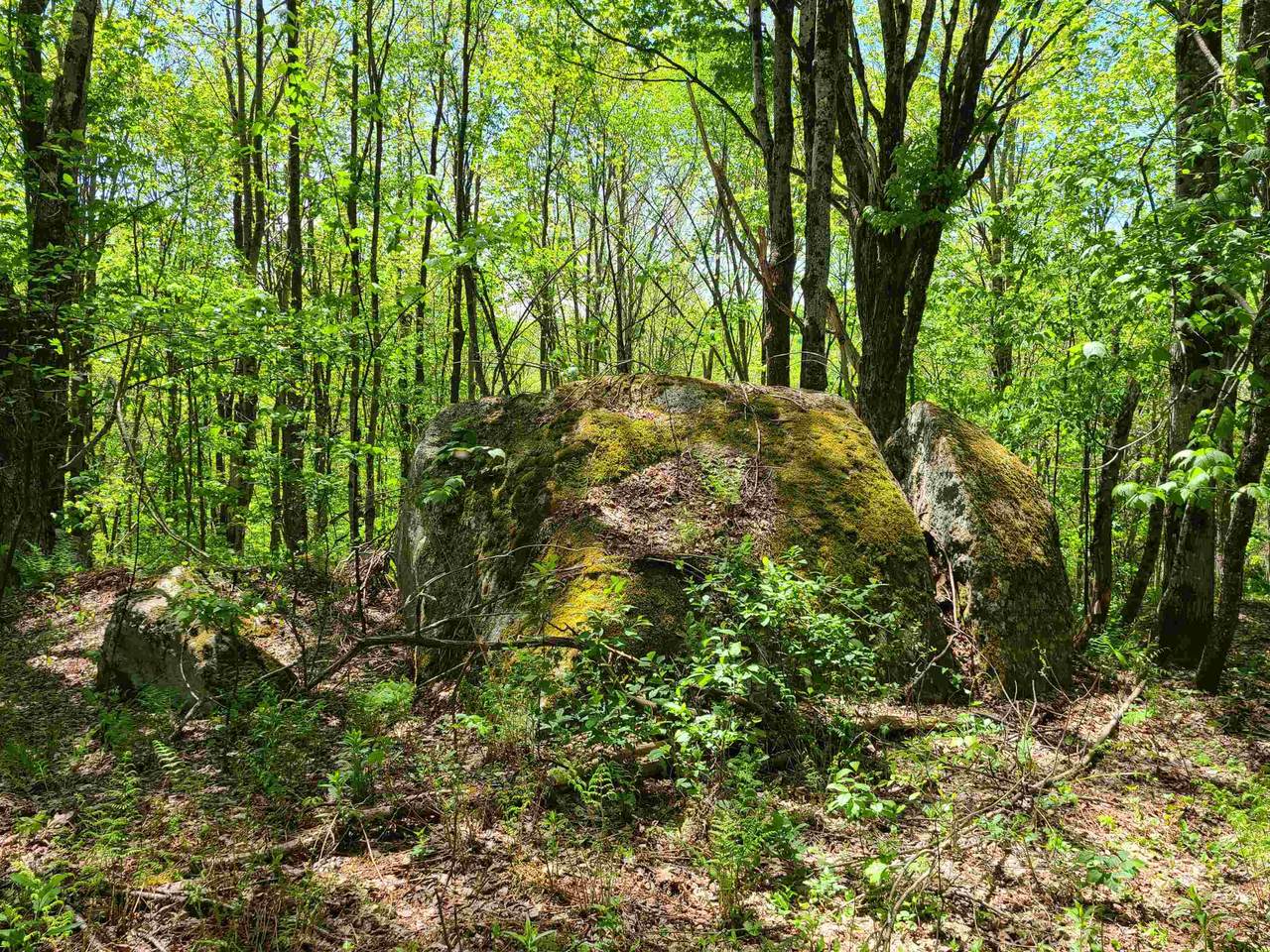 https://bt-photos.global.ssl.fastly.net/nneren/1280_boomver_2_5097867-2.jpg