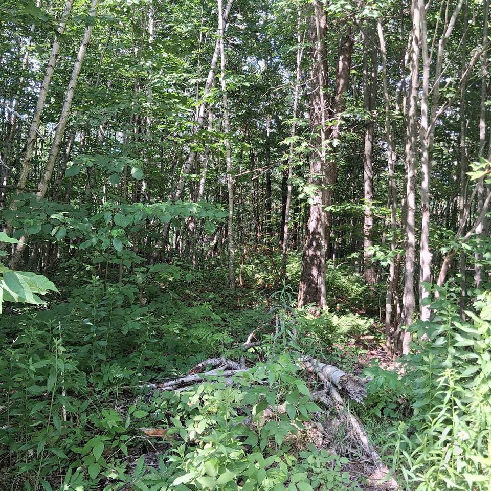 Lot 2 Ballground Road - Photo 1
