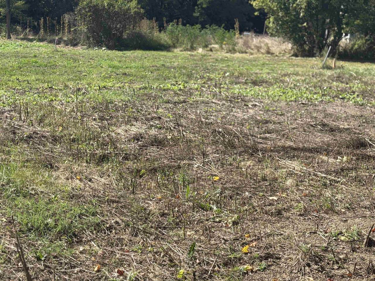 https://bt-photos.global.ssl.fastly.net/nneren/1280_boomver_2_5109213-2.jpg