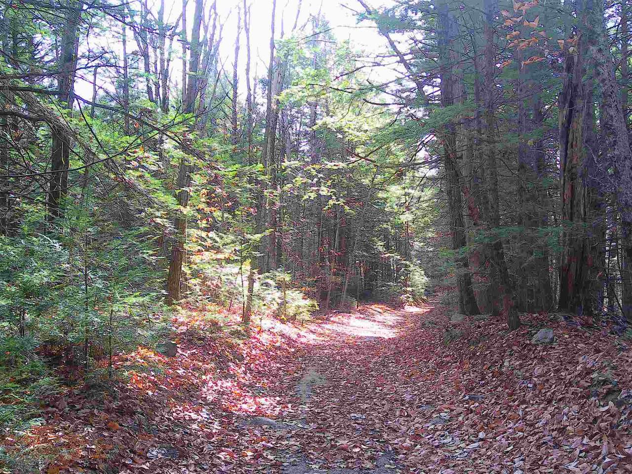 20 Province Lake Road - Photo 1