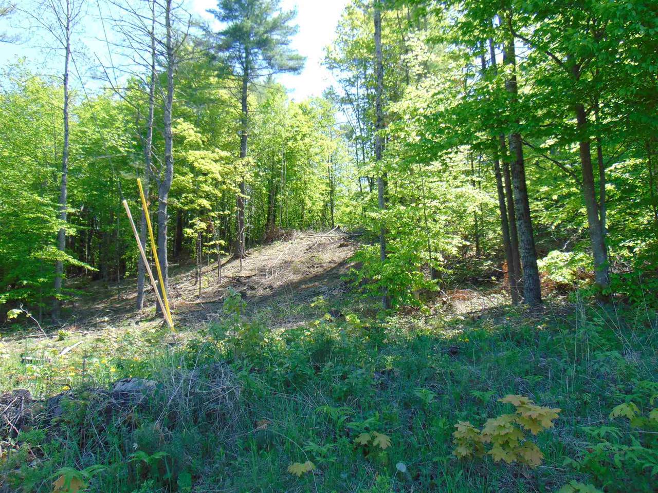 02 Crepeault Hill Road - Photo 1