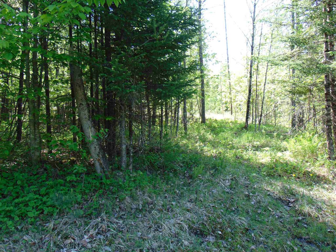 03 Old Bradley Road - Photo 1