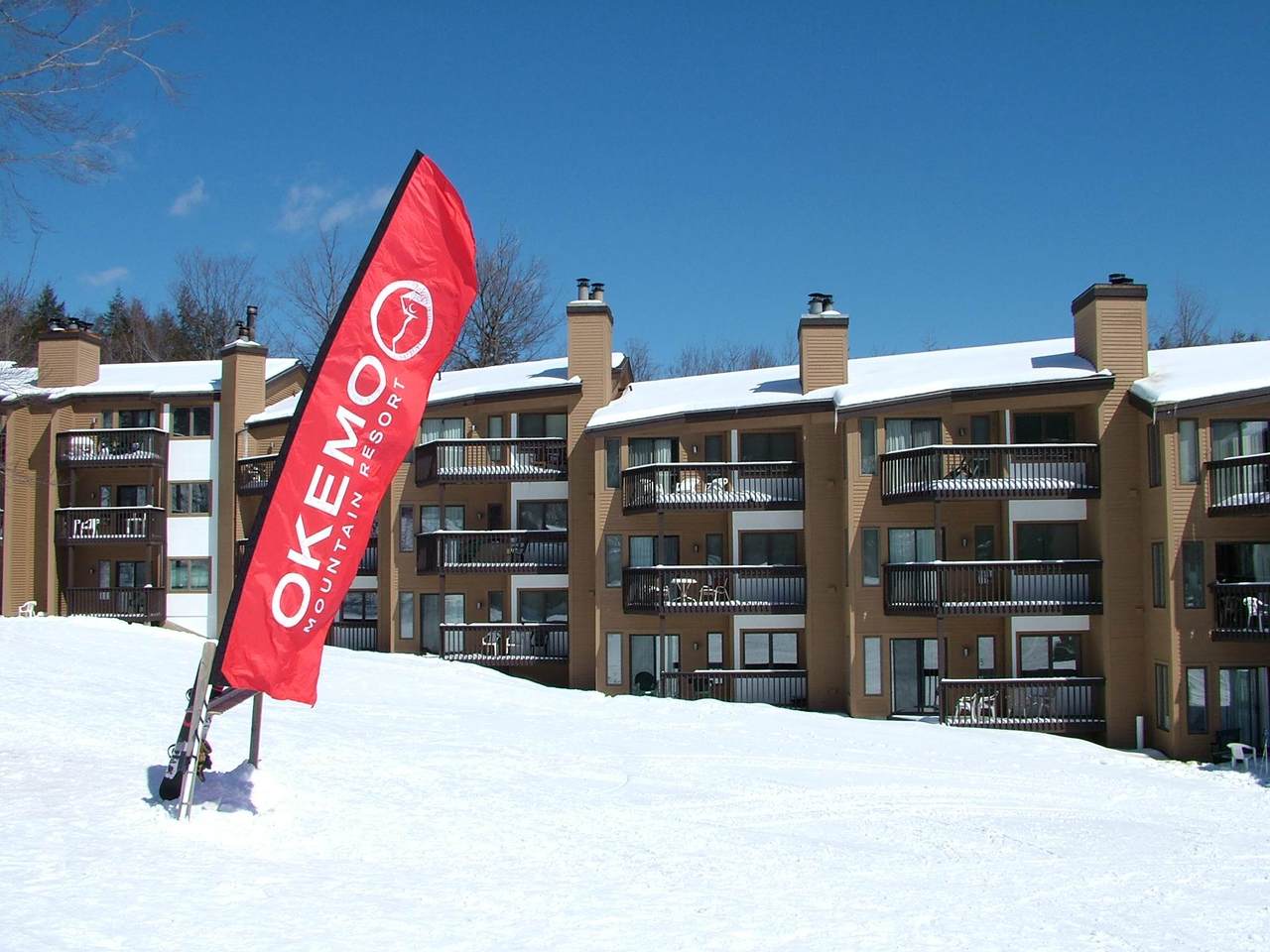 109 Okemo Ridge Road - Photo 1