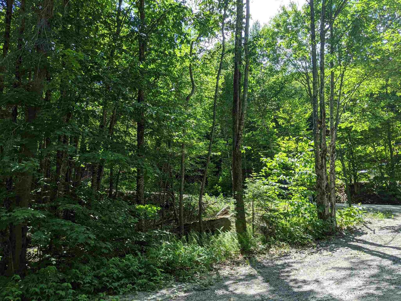 0 Hilltop & High Ridge Road - Photo 1