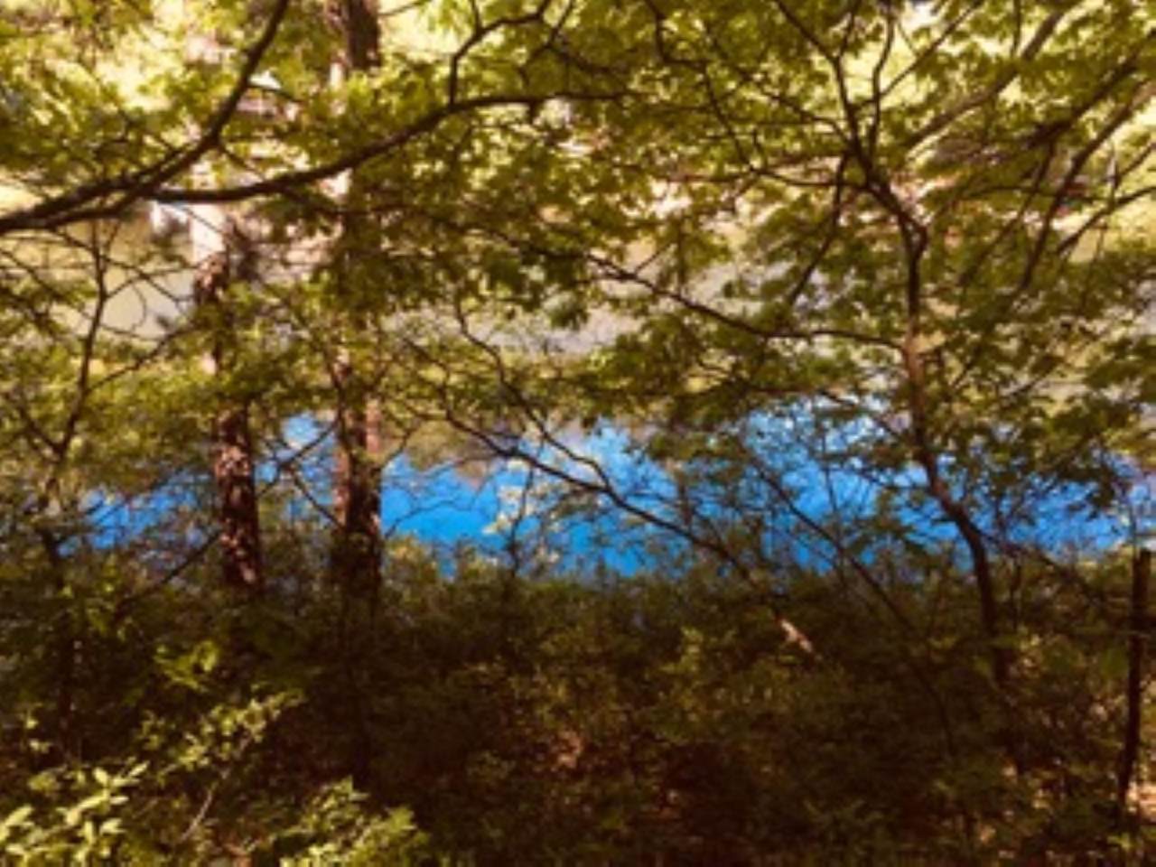 Concord Lane - Photo 1