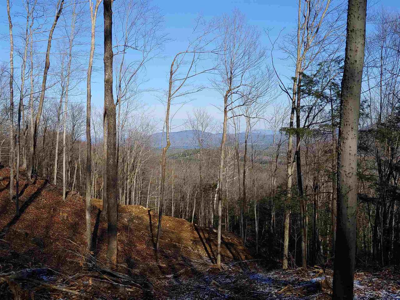 300 Lakeview Heights Road - Photo 1