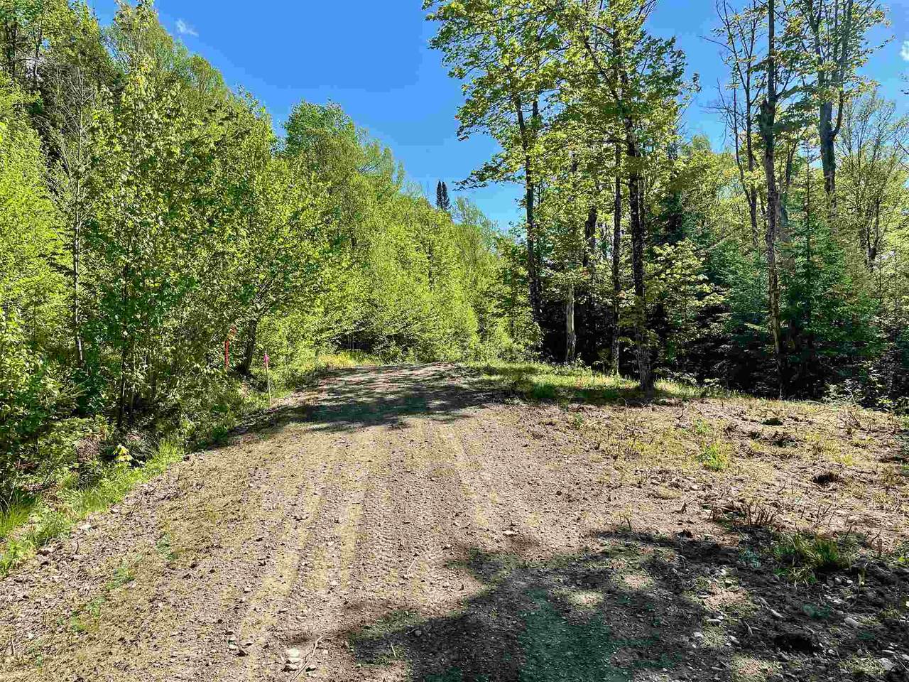 Lot 1 Ivan Drive - Photo 1
