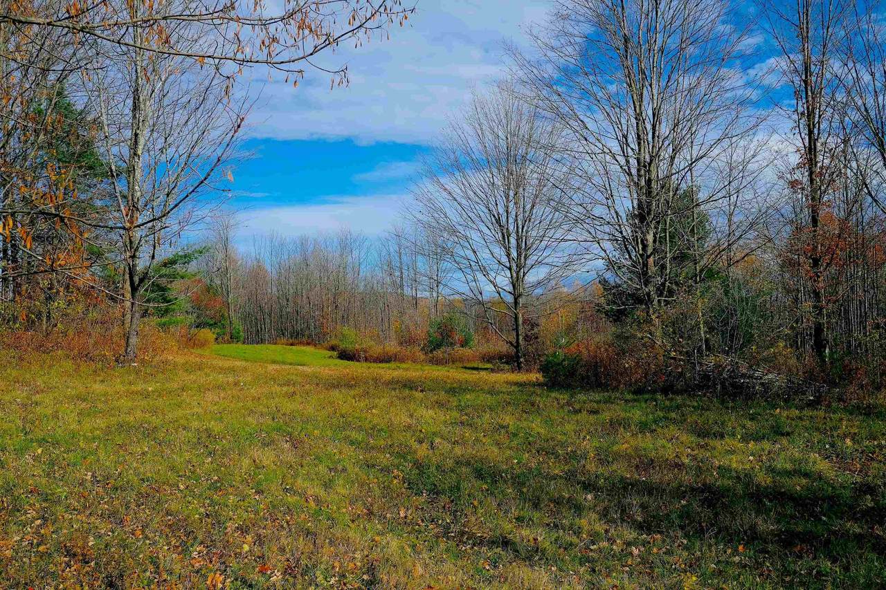 Lot 3 Brigham Hill Lane - Photo 1