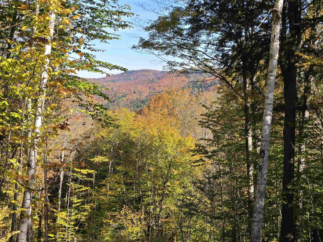 000 West Road - Photo 1