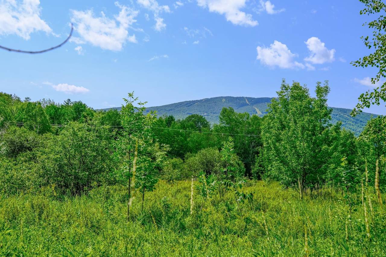 00 Town Farm Road - Photo 1