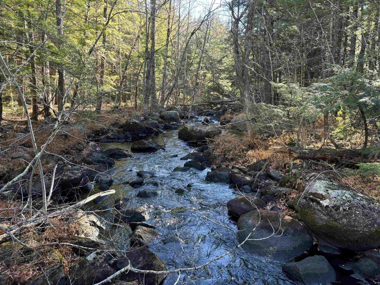 481 Chocorua Mountain Highway - Photo 1