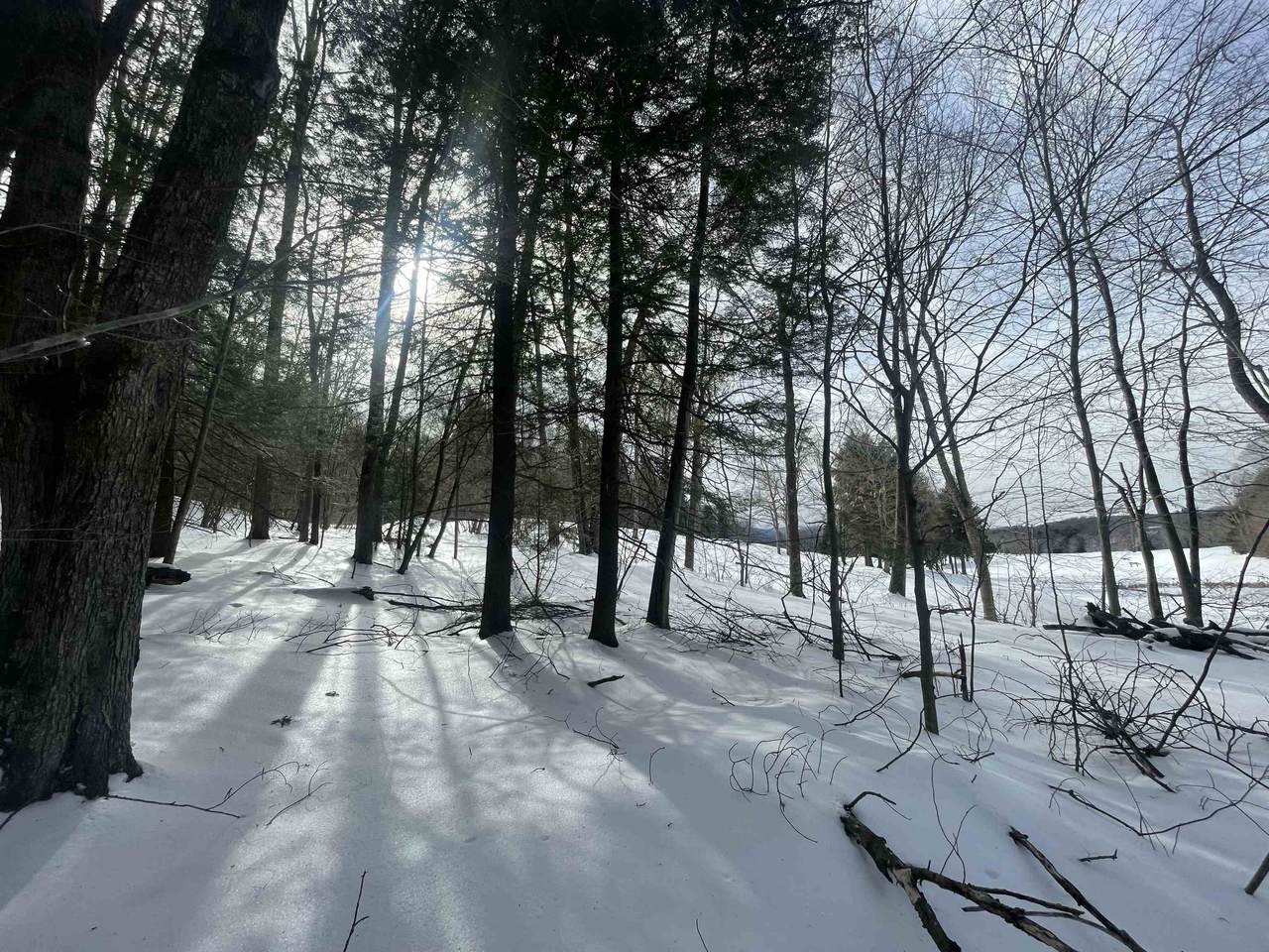 530 Finbars Forest Road - Photo 1