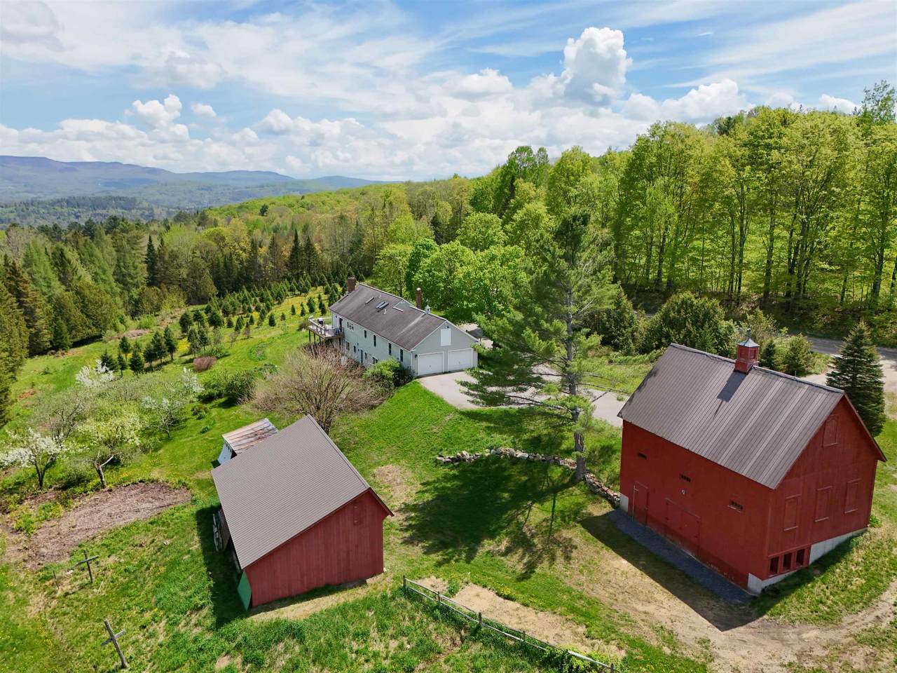 1202 Cotton Road - Photo 1