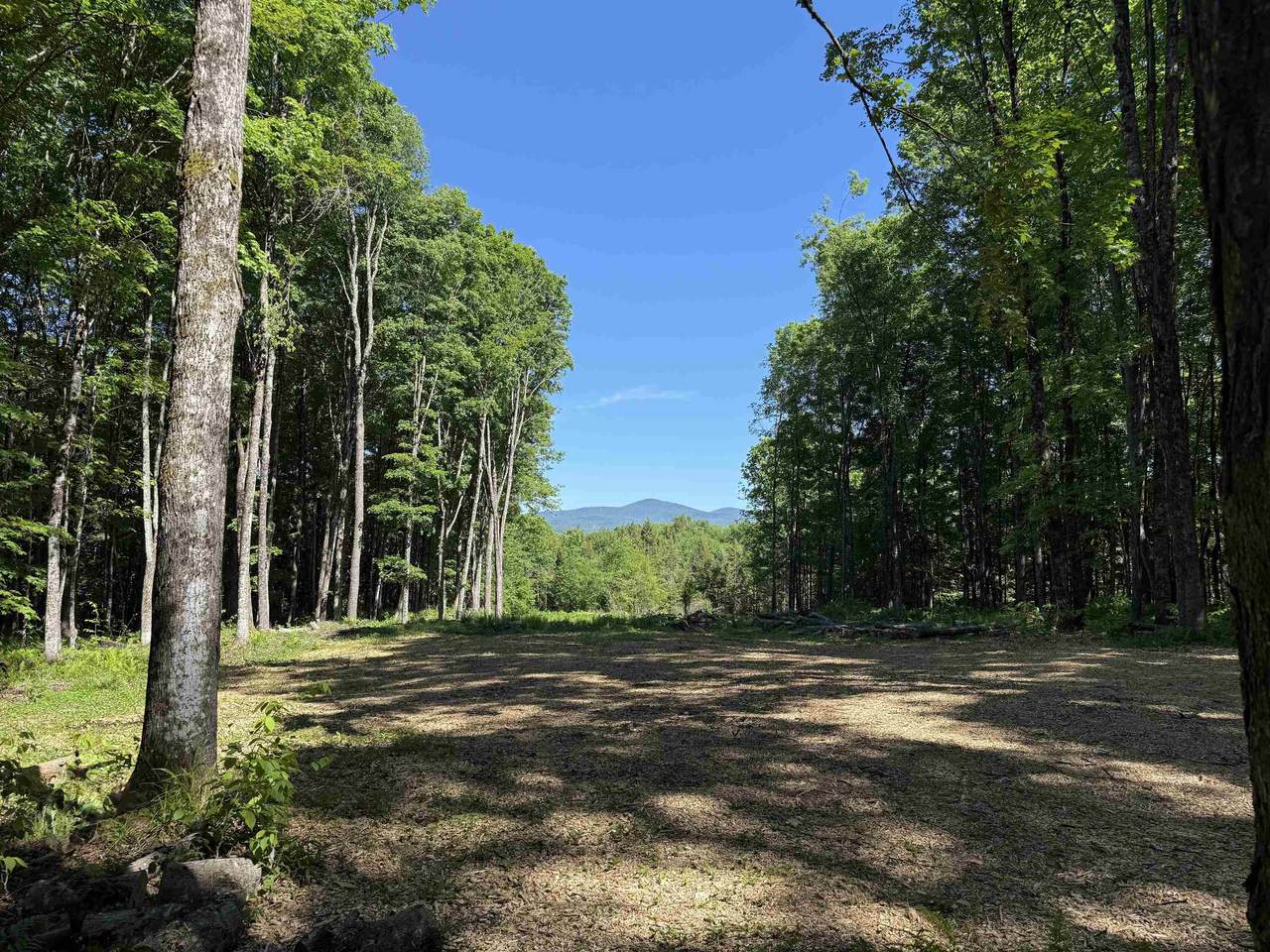 00 Vt Route 14 - Photo 1