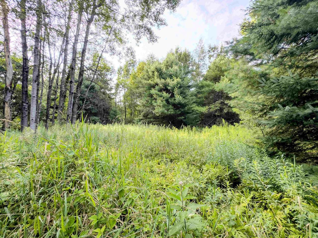 00 Woodsville Road - Photo 1