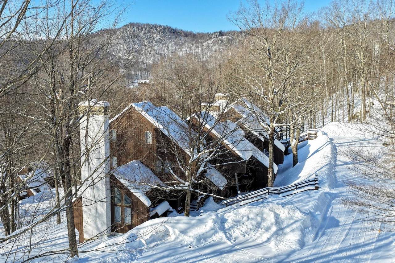 11 Blueberry Ledge Ridge - Photo 1