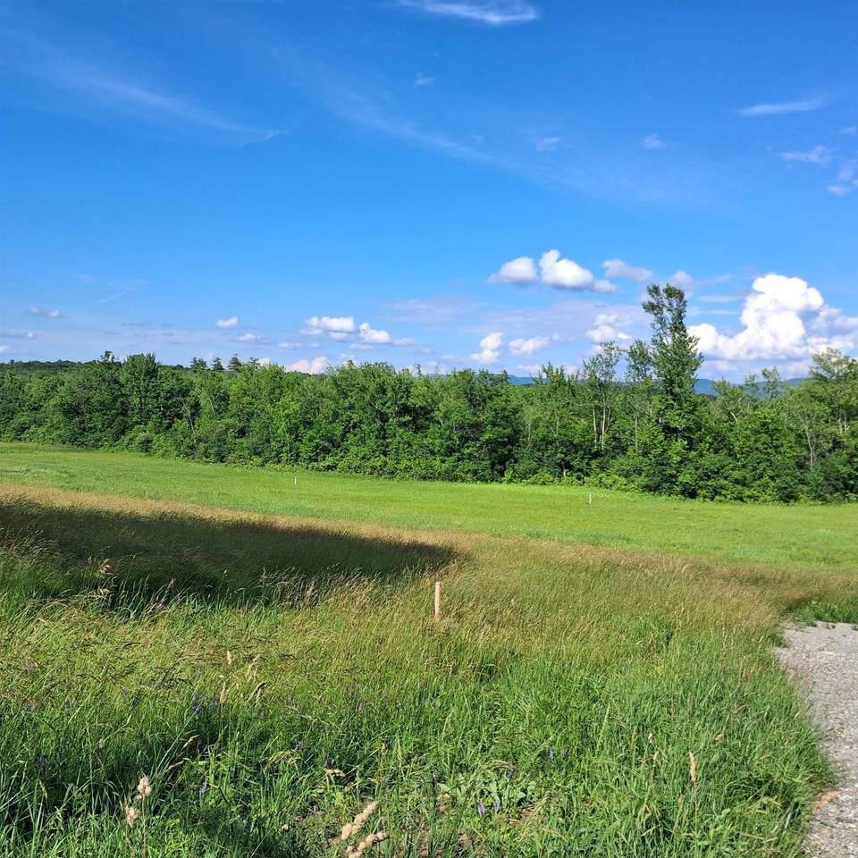3495 Spear Street - Photo 1