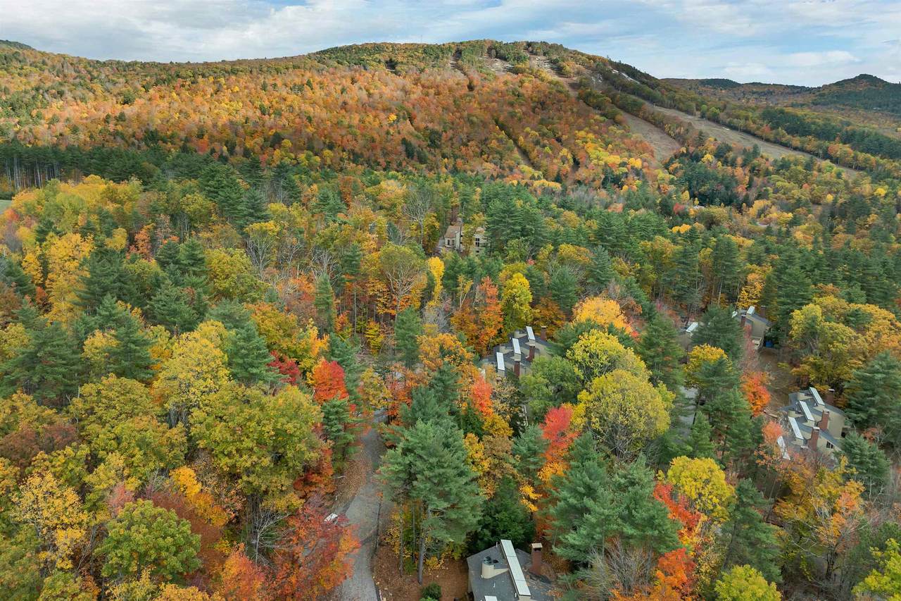 72 Cranmore Woods Lane - Photo 1