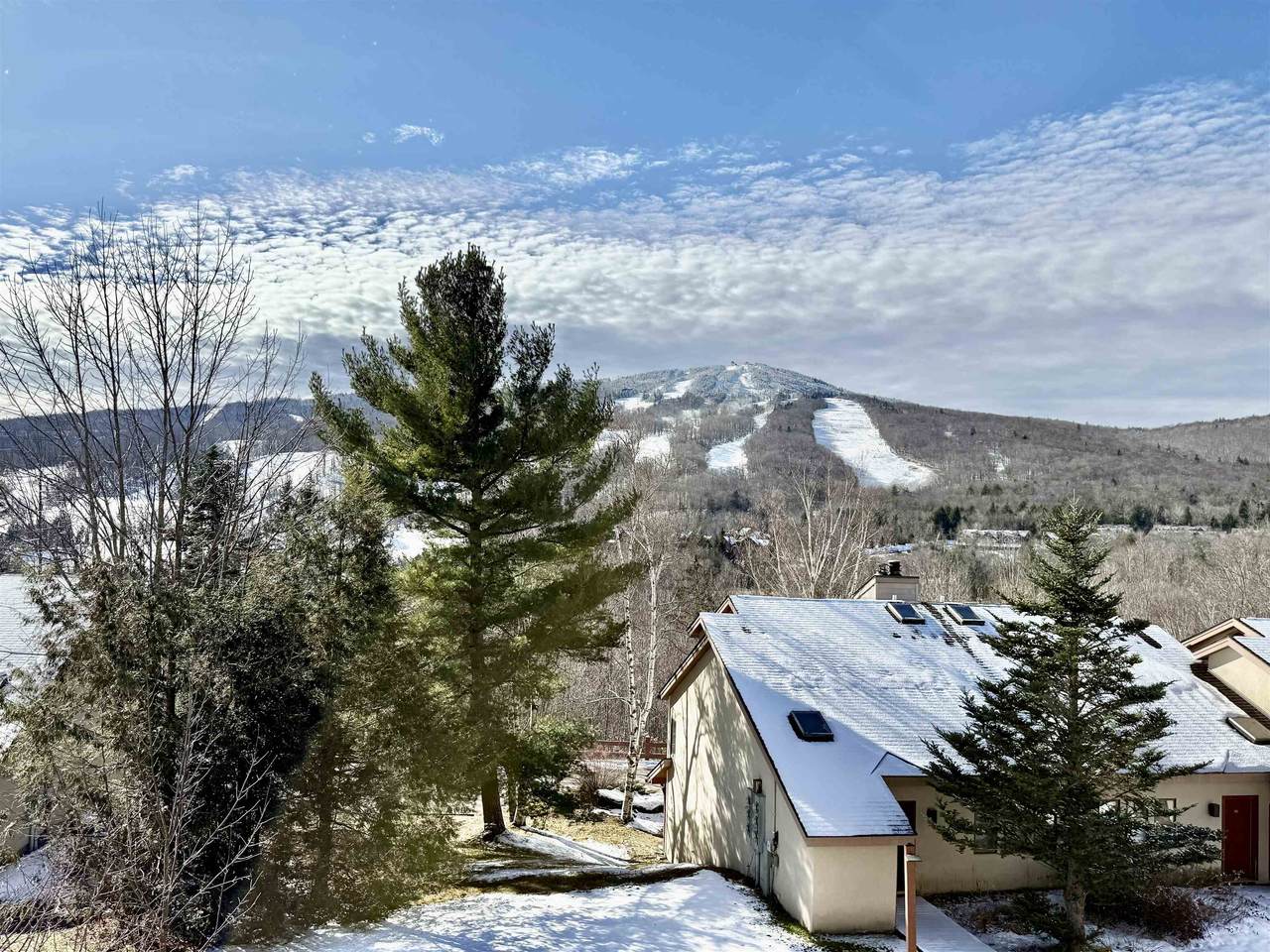 15D Mountain Village - Photo 1