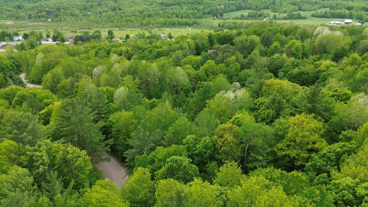 Lot 48 Sugar Hill Road - Photo 1