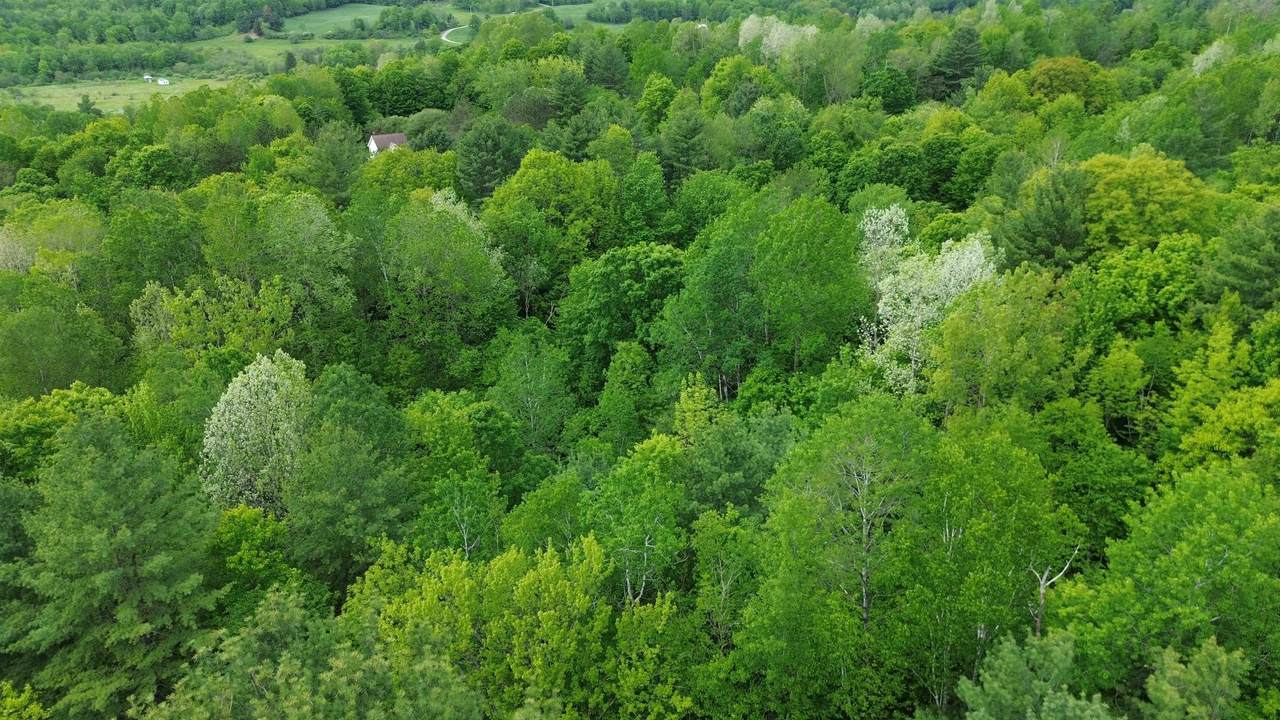 https://bt-photos.global.ssl.fastly.net/nneren/1280_boomver_3_5073459-2.jpg