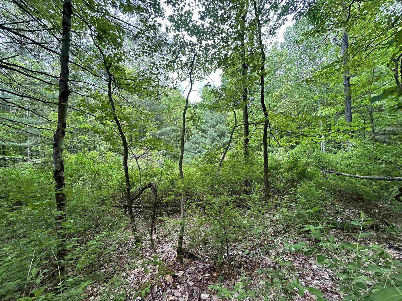 https://bt-photos.global.ssl.fastly.net/nneren/1280_boomver_3_5073459-2.jpg