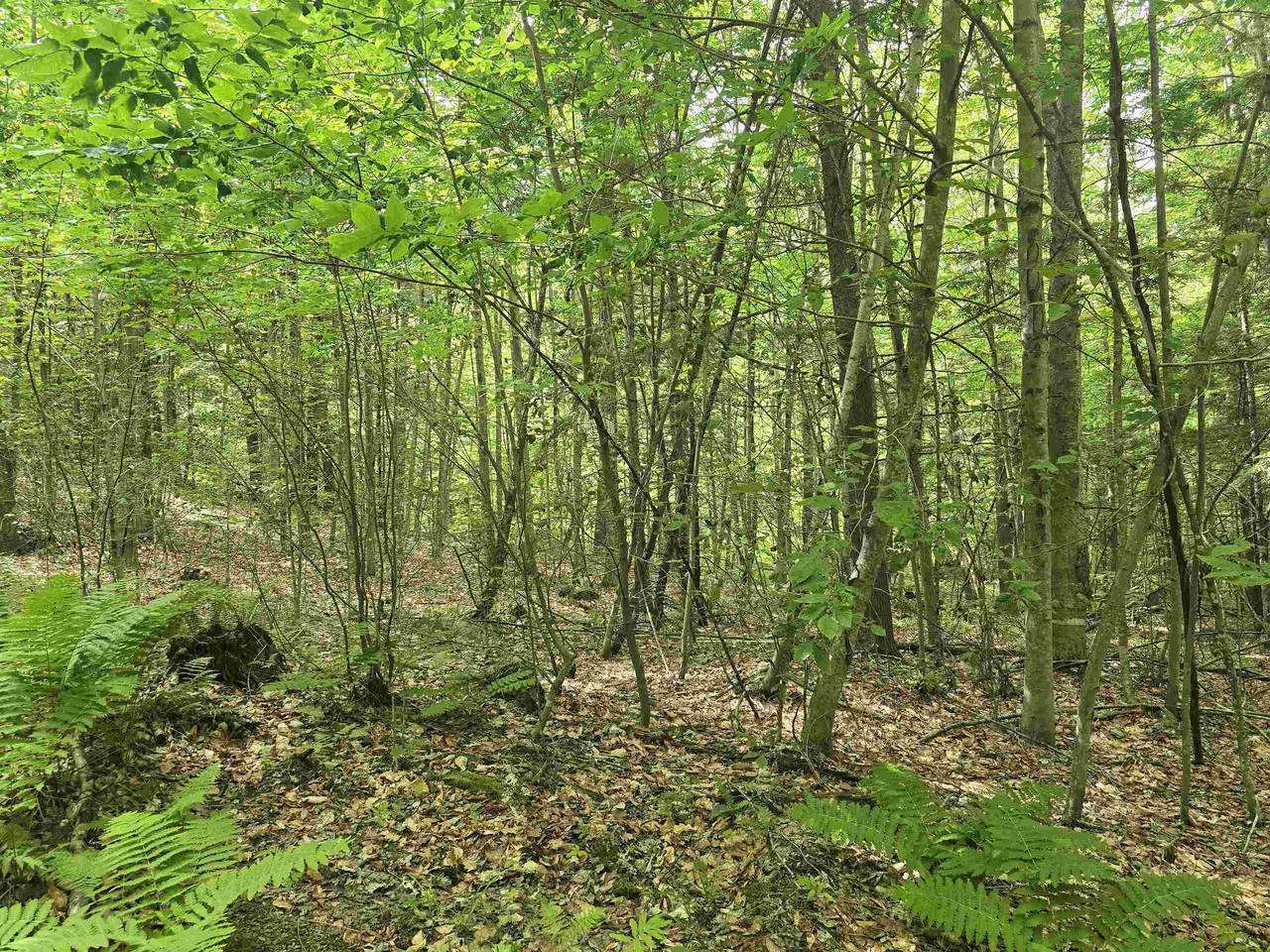TBD Farrar Road - Photo 1