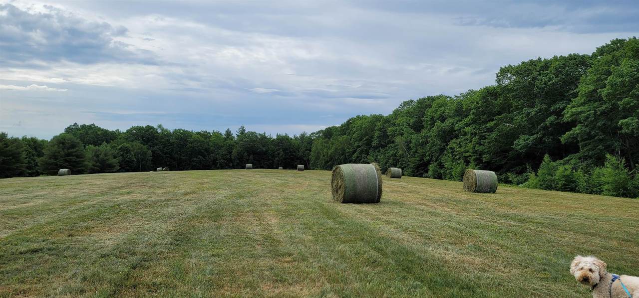 00 Bingham Road - Photo 1