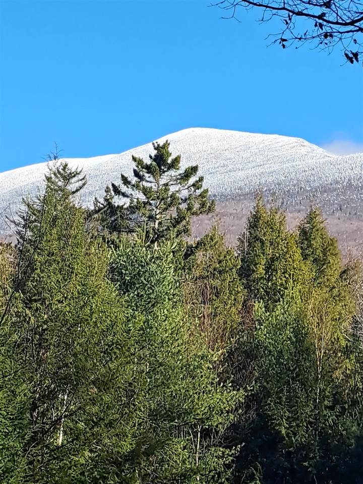 00 Stimson Road - Photo 1