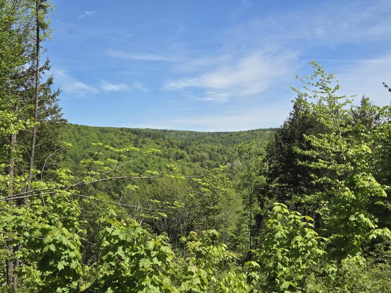 00 Vt Rte 12 - Photo 1