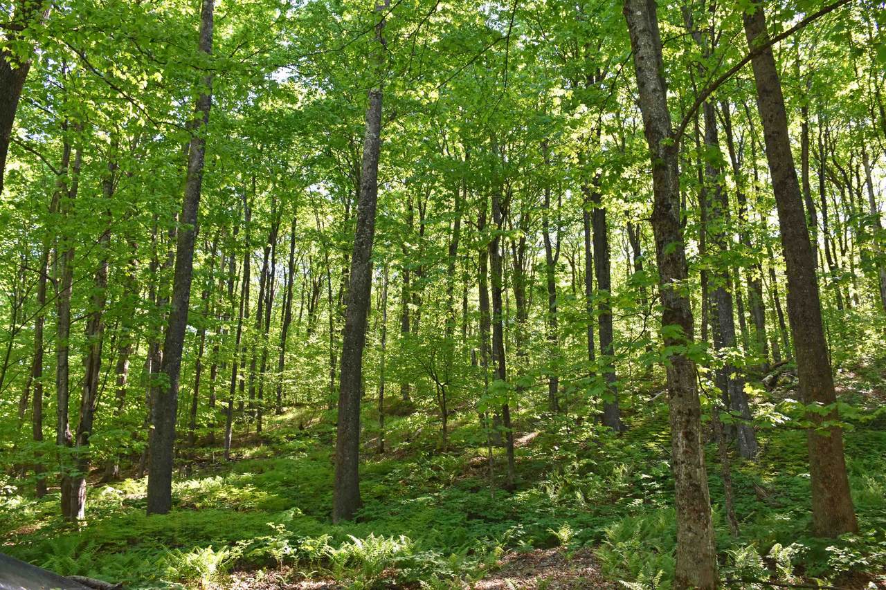 https://bt-photos.global.ssl.fastly.net/nneren/1280_boomver_1_5079438-2.jpg
