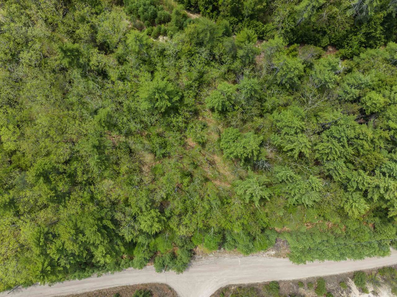 lot 15 Pine Point Road - Photo 1