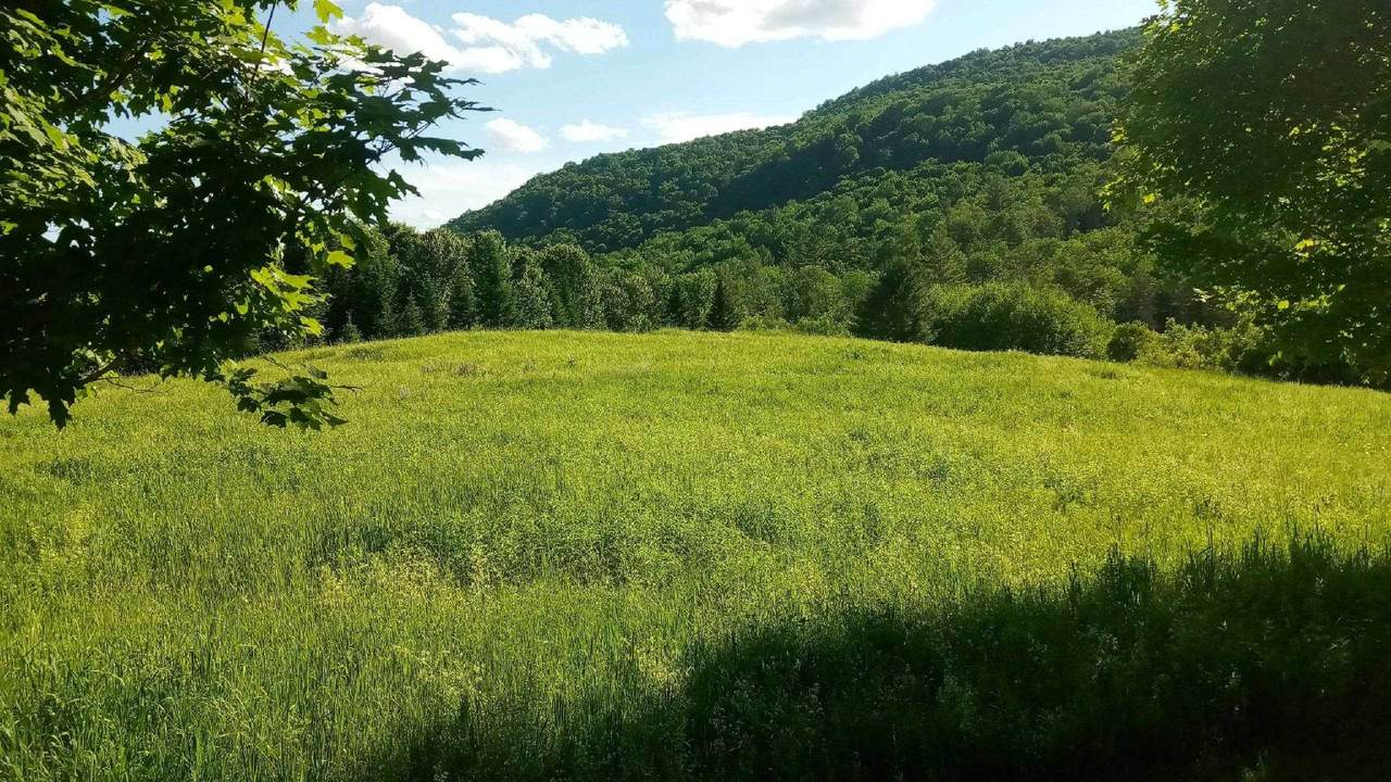 Lot B Windmill Lane - Photo 1